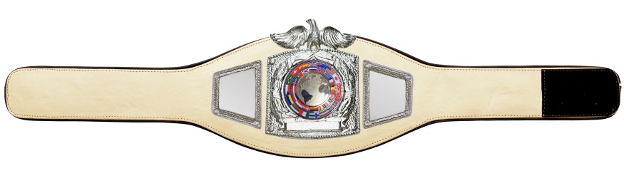 PROEAGLE SILVER WORLD FLAGS CHAMPIONSHIP BELT - PROEAGLE/S/FLAGS - AVAILABLE IN 6+ COLOURS